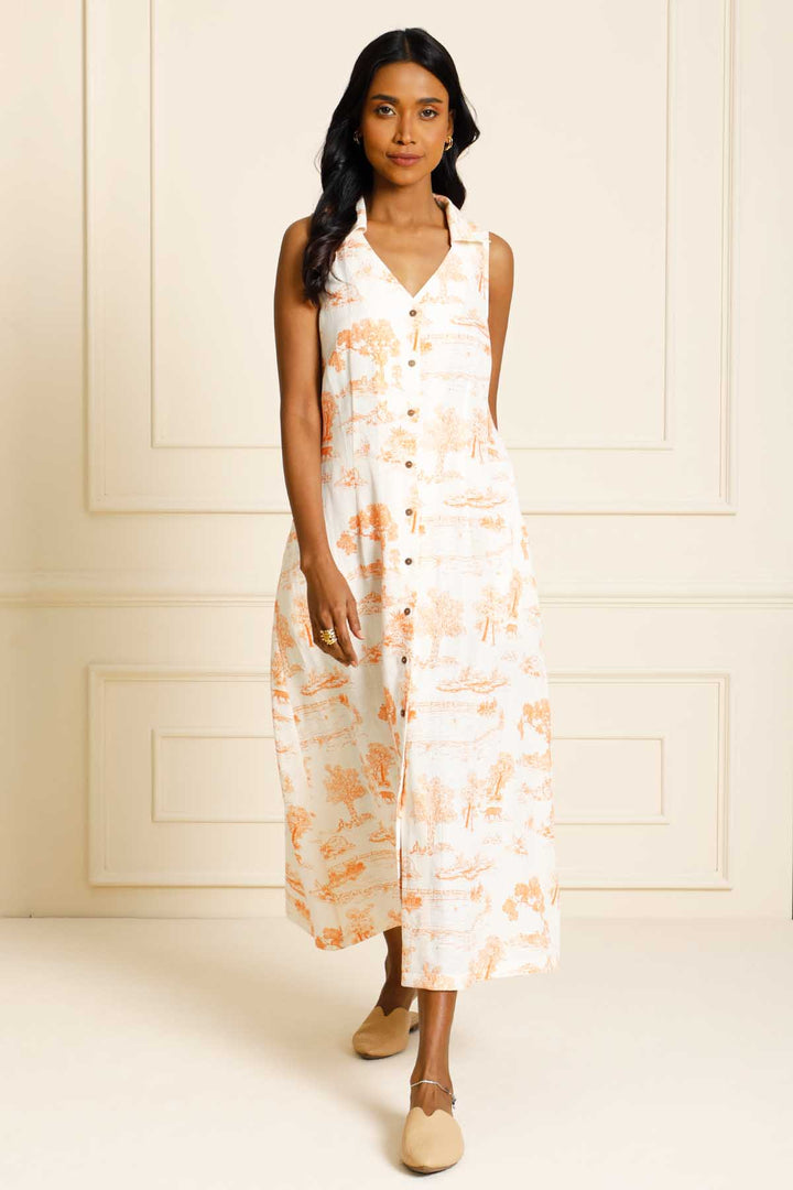 SIENNA TOILE PRINTED COLLAR DRESS